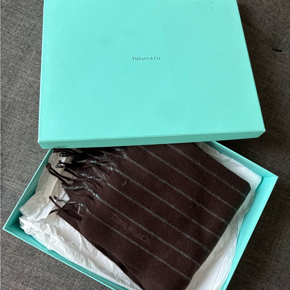 Tiffany & Co. Brown Striped Cashmere Scarf